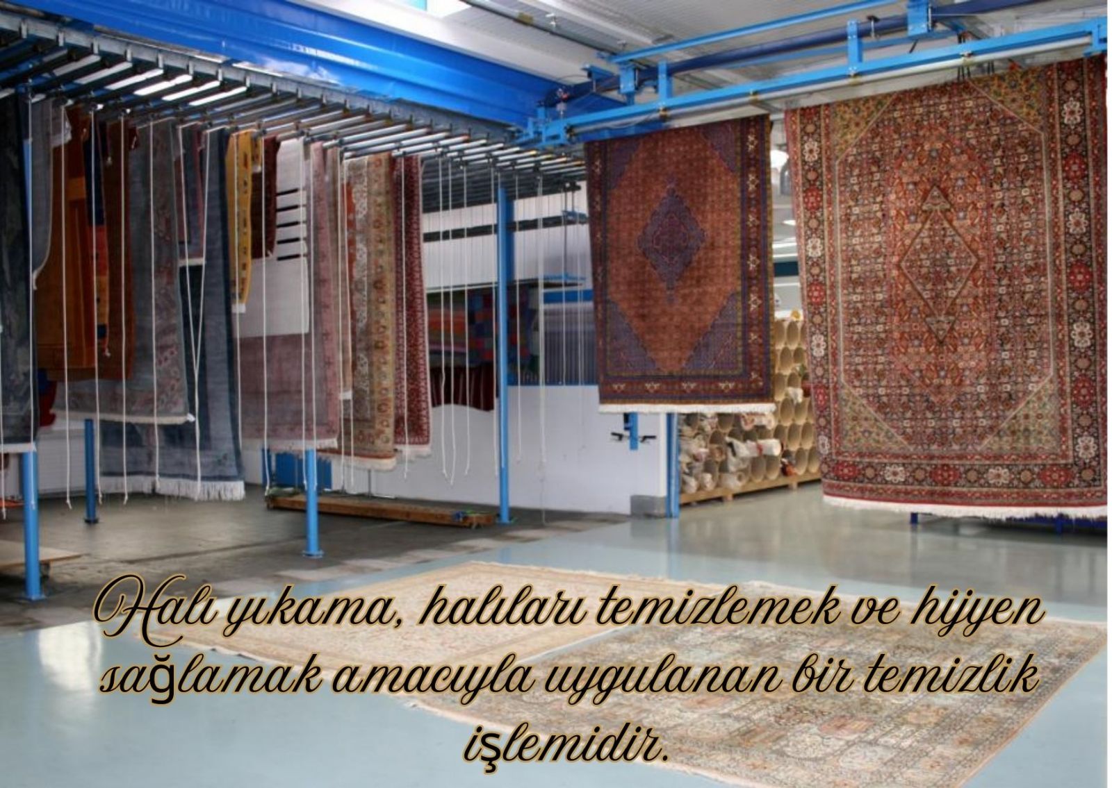 Dilovası Halı Yıkama Kampanyaları